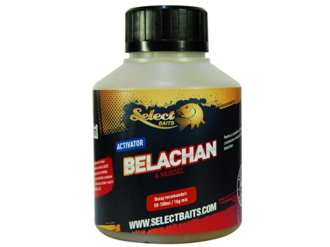Aktivátor Select Baits Belachan