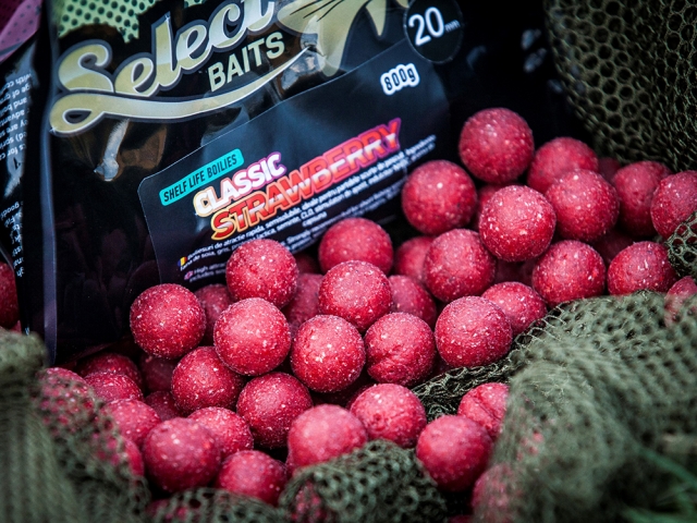 thumbnail image 2 of Wicked Carp Company Boilies – Strawberry & Banana Flavor Carp And Catfish Bait (25g) 2 of 3