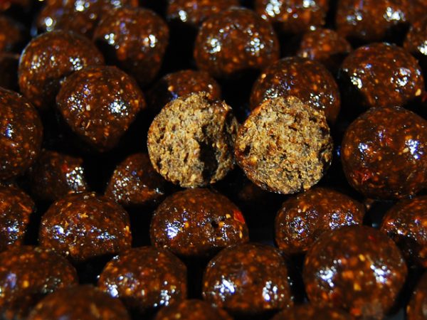 Boilies Select Baits Shelf - Life Squid Krill & Oriental Spices